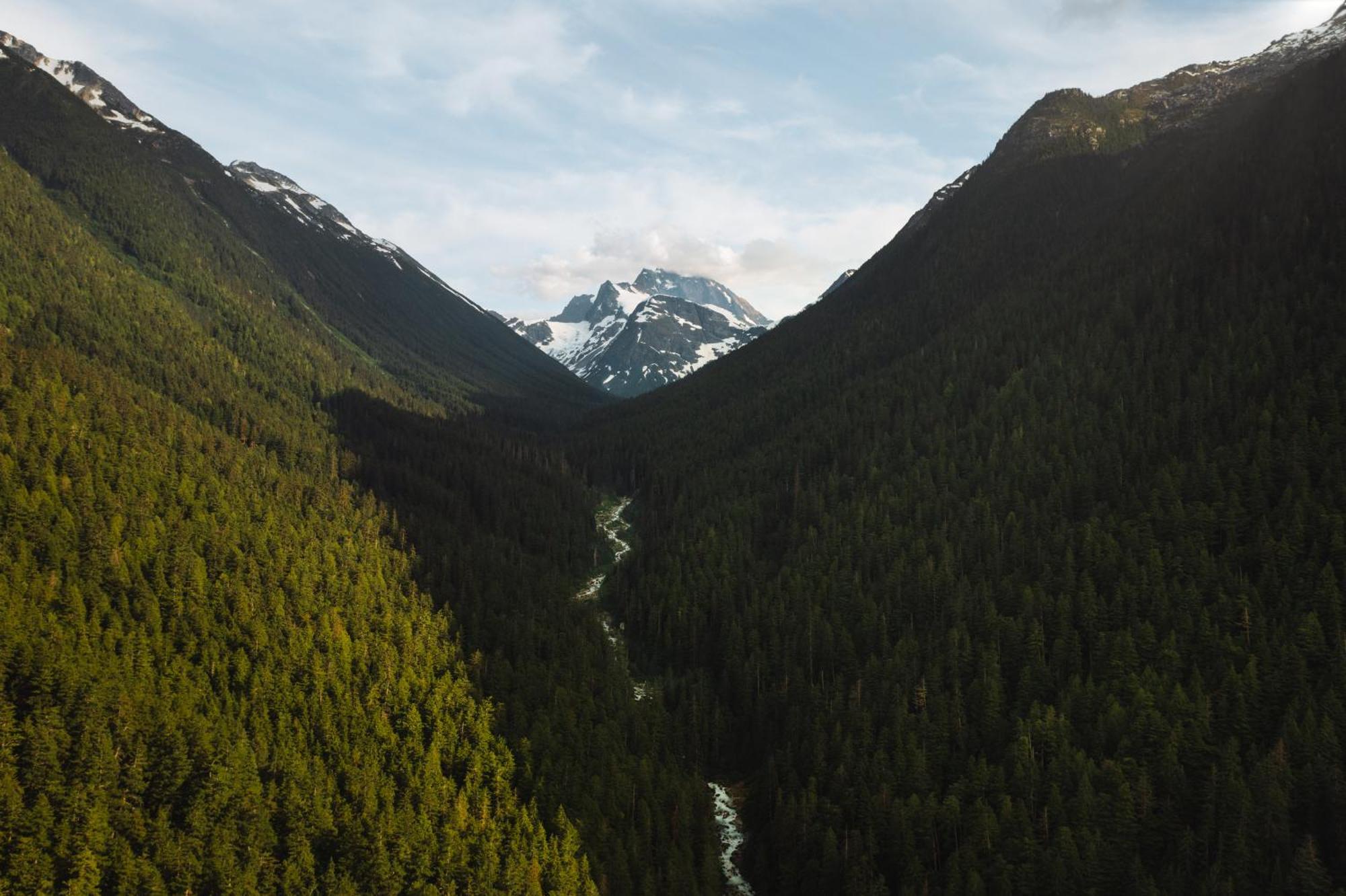Bella Coola Grizzly Tours And Resort Hagensborg Extérieur photo