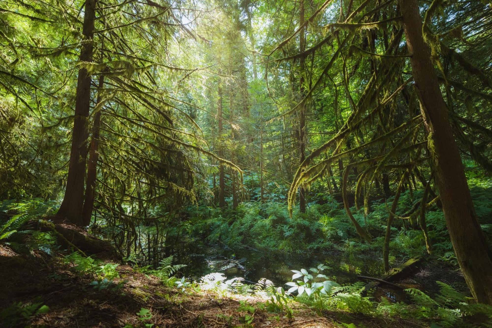 Bella Coola Grizzly Tours And Resort Hagensborg Extérieur photo