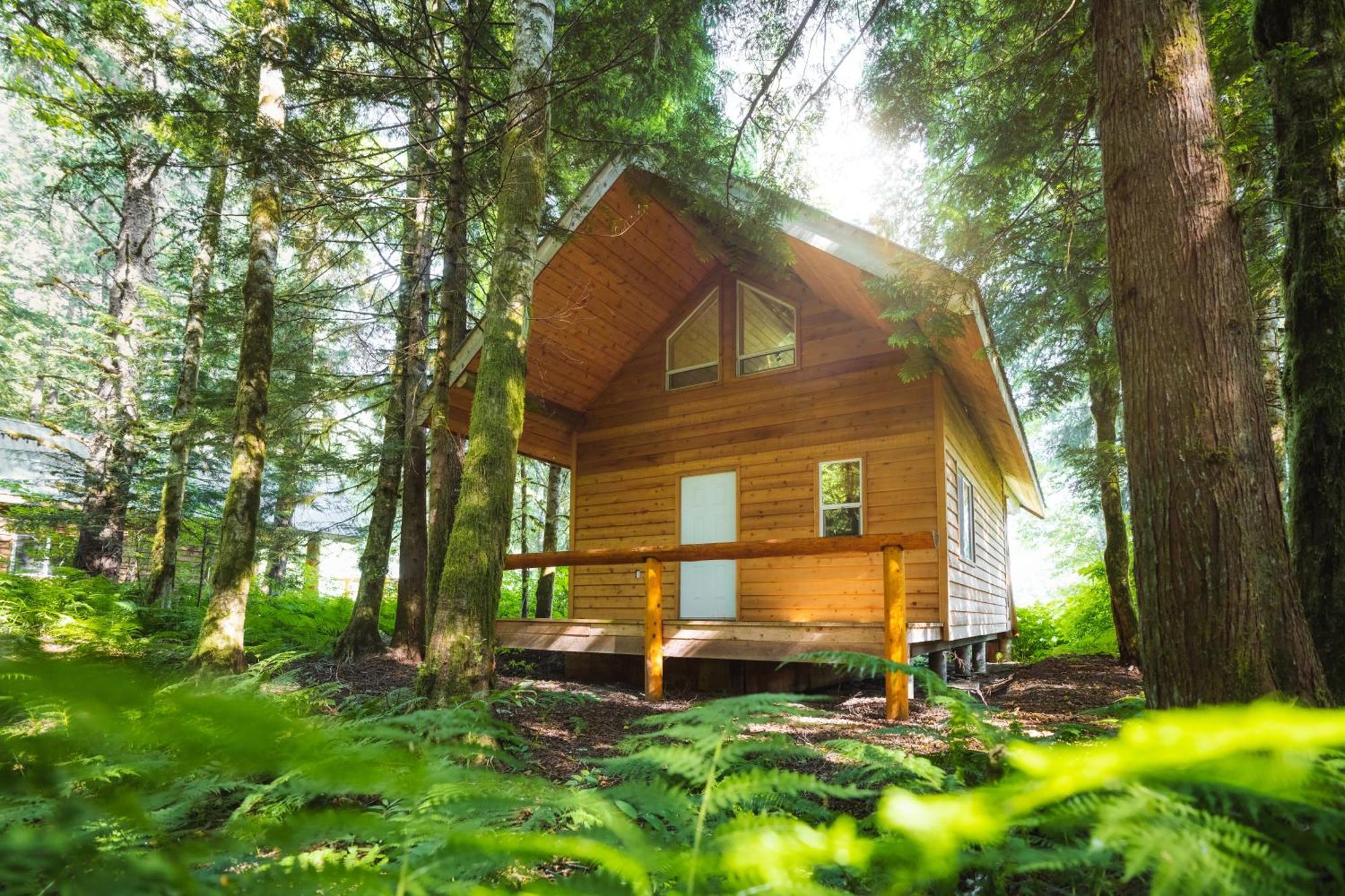 Bella Coola Grizzly Tours And Resort Hagensborg Extérieur photo